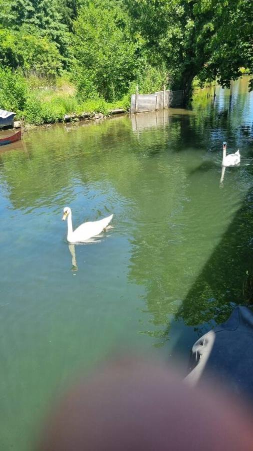 Au Fils De L'Eau Hotel Strasbourg Bagian luar foto