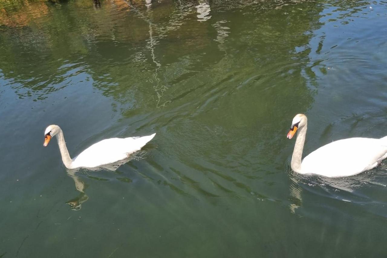Au Fils De L'Eau Hotel Strasbourg Bagian luar foto